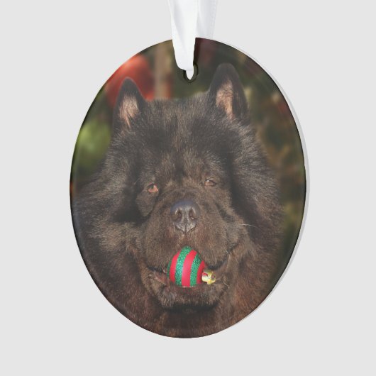Kerstmis met een zwarte hond ornament (voorkant)