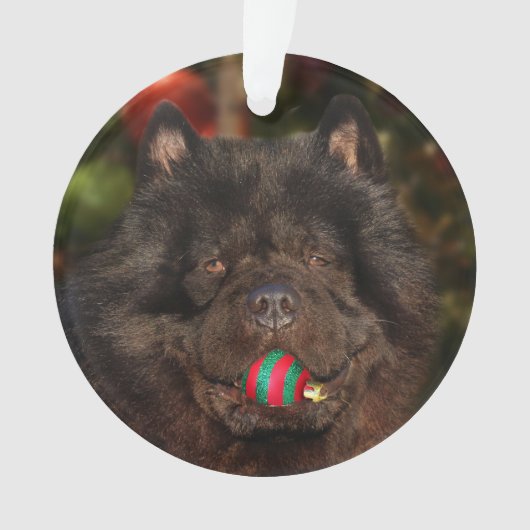 Kerstmis met een zwarte hond ornament (voorkant)