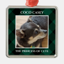 Kerstmis met foto Buffalo Pet