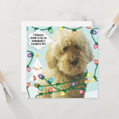 Kerstmis met Goldendoodle, leuk Doodle-plezier Kaart (Voorkant / Achterkant in situ)
