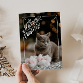 Kerstmis met kat vol foto kat huisdier feestdagenkaart