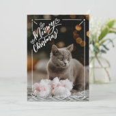 Kerstmis met kat vol foto kat huisdier feestdagenkaart (Staand voorkant)