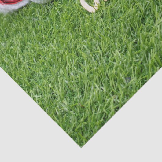 Kerstmis met kersthoed en golft-shirt tissuepapier (Detail)