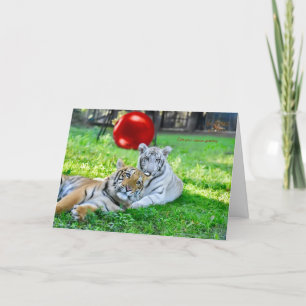 Kerstmis met kleine jongens feestdagen kaart