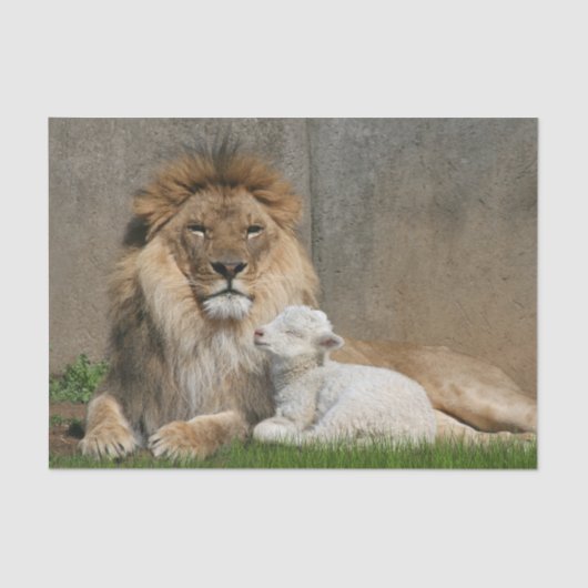 Kerstmis met leeuwen en lammeren tissuepapier (Voorkant)