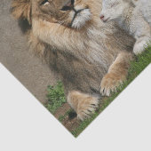 Kerstmis met leeuwen en lammeren tissuepapier (Detail)