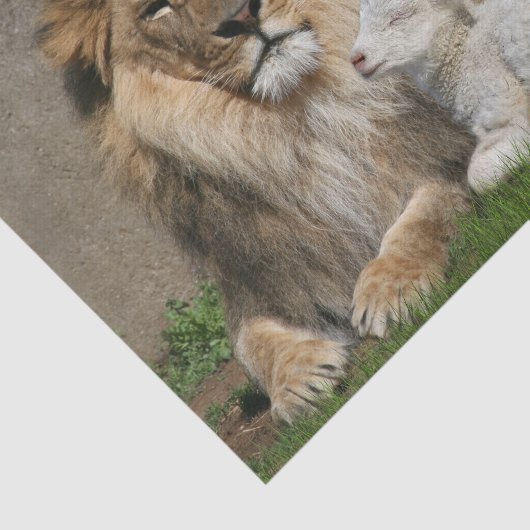 Kerstmis met leeuwen en lammeren tissuepapier (Detail)