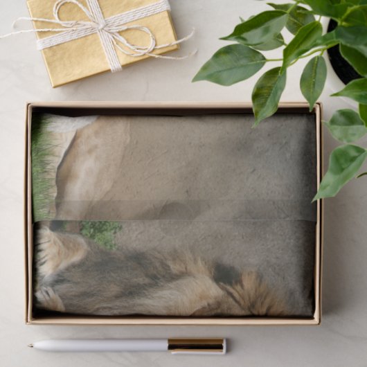 Kerstmis met leeuwen en lammeren tissuepapier (Geschenk)