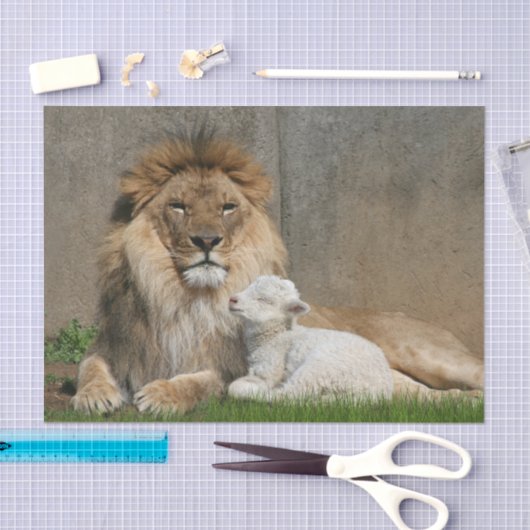 Kerstmis met leeuwen en lammeren tissuepapier (Craft)