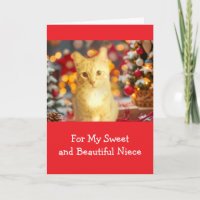 Kerstmis met lieve nicht en oranje katje