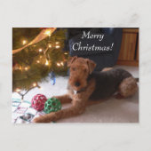 Kerstmis met Madeleine Postcard Feestdagenkaart (Voorkant)