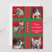 Kerstmis met Meowy Multi Five Kat Foto Feestdagenkaart (Voorkant)