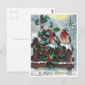 Kerstmis met oude Robin vogels en hulst Briefkaart (Voorkant / Achterkant)