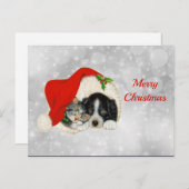 Kerstmis met Pet met kerstmis met Cute Dog Cat San Briefkaart (Voorkant / Achterkant)