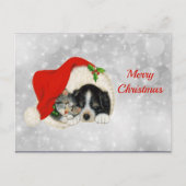 Kerstmis met Pet met kerstmis met Cute Dog Cat San Briefkaart (Voorkant)