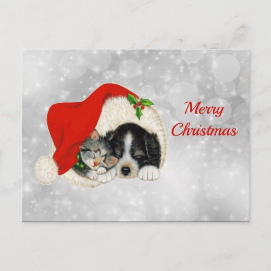 Kerstmis met Pet met kerstmis met Cute Dog Cat San Briefkaart (Voorkant)
