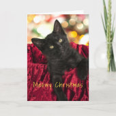 Kerstmis met poesje Zwarte Kitten Kerstkaart Kaart (Voorkant)