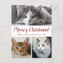 Kerstmis met poezen 3 foto feestdagenkaart