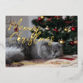 Kerstmis met poezen Foto van eigen kat Folie Feestdagenkaart (Voorkant)
