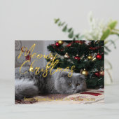 Kerstmis met poezen Foto van eigen kat Folie Feestdagenkaart (Staand Voorkant)