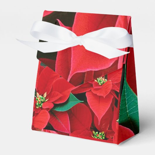 Kerstmis met Poinsettia Favor Box Bedankdoosjes (Voorkant Zijde)