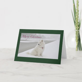 Kerstmis met Samoyed (Lincoln Memorial) Feestdagen Kaart