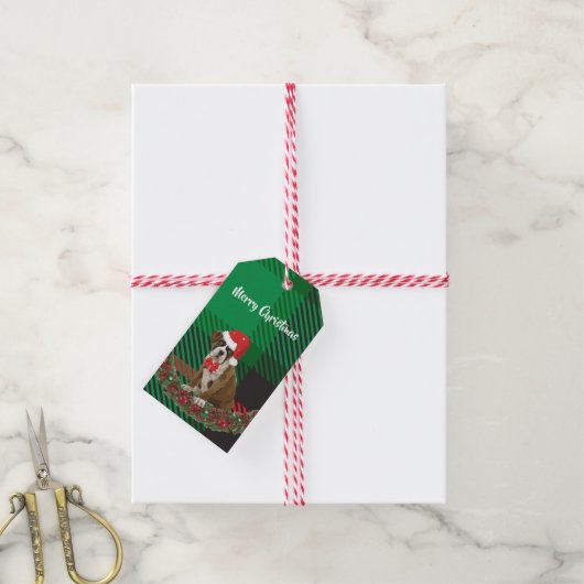 Kerstmis met Santa Hat Green Gift-Labels Cadeaulabel (Met Touw)
