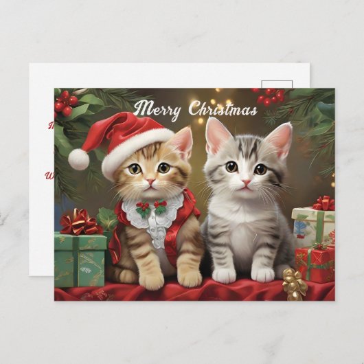 Kerstmis met Schattigee Katten Briefkaart (Voorkant / Achterkant)