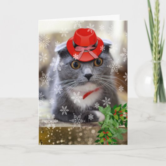 Kerstmis met Scottish Fold Cat in Red Pet Kaart (Voorkant)
