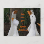 Kerstmis met Witte Eenden Caroling Feestdagenkaart (Voorkant)