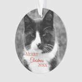 Kerstmis met zwarte en witte kat ornament (voorkant)