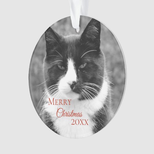Kerstmis met zwarte en witte kat ornament (voorkant)