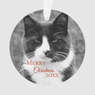 Kerstmis met zwarte en witte kat ornament