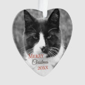 Kerstmis met zwarte en witte kat ornament (voorkant)