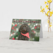 kerstmis met zwarte hond kaart (Gele Bloem)