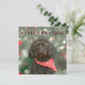 kerstmis met zwarte hond kaart (Staand voorkant)