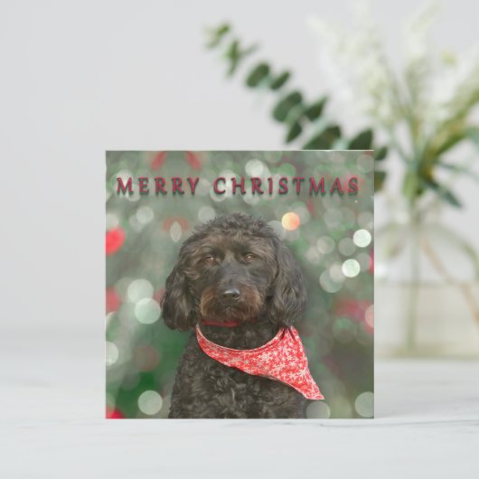 kerstmis met zwarte hond kaart (Staand voorkant)