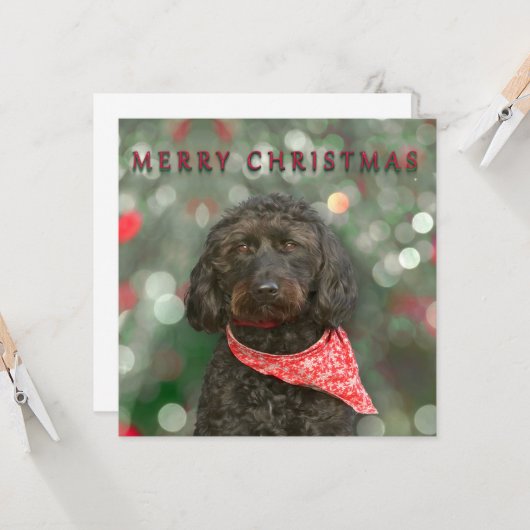 kerstmis met zwarte hond kaart (Voorkant / Achterkant in situ)