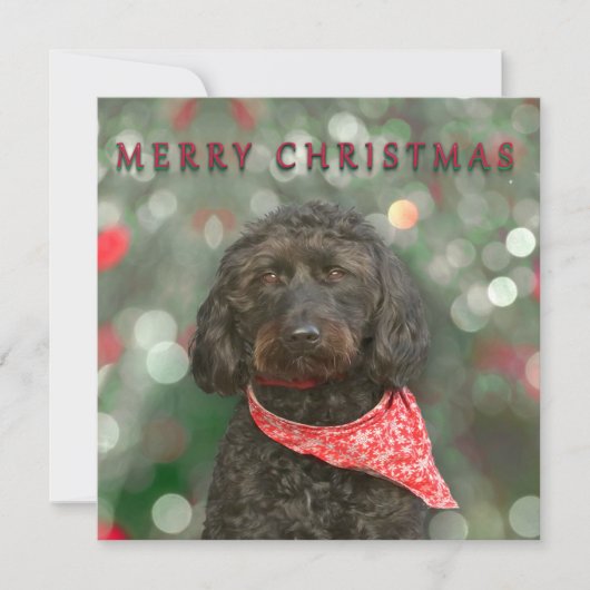 kerstmis met zwarte hond kaart (Voorkant)