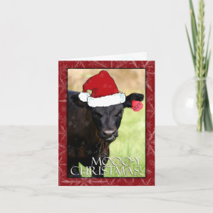 Kerstmis moooo-y! feestdagen kaart