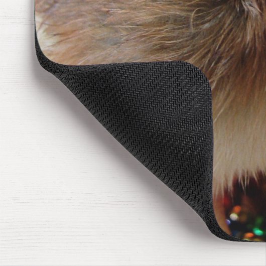 Kerstmis Muismat (Hoek)