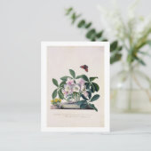 Kerstmis nam (Helleborus Niger) en de Winter Aconi Feestdagenkaart (Staand voorkant)