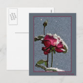 Kerstmis nam toe feestdagenkaart (Voorkant / Achterkant)