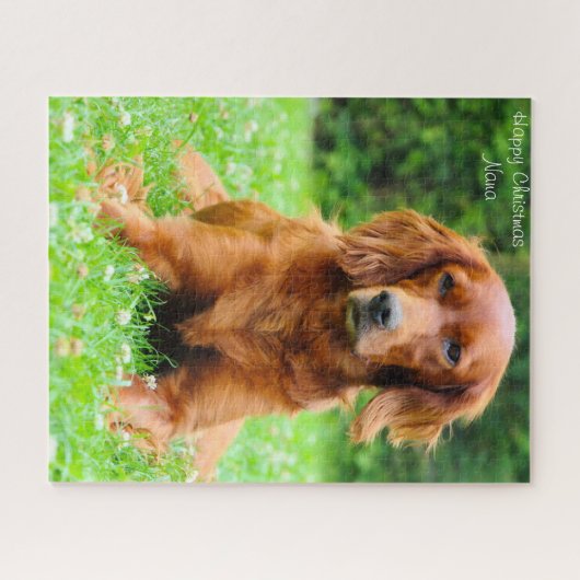 Kerstmis Nana. Legpuzzel (Horizontaal)