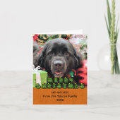 Kerstmis - Newfoundland - Izzie Feestdagen Kaart (Voorkant)