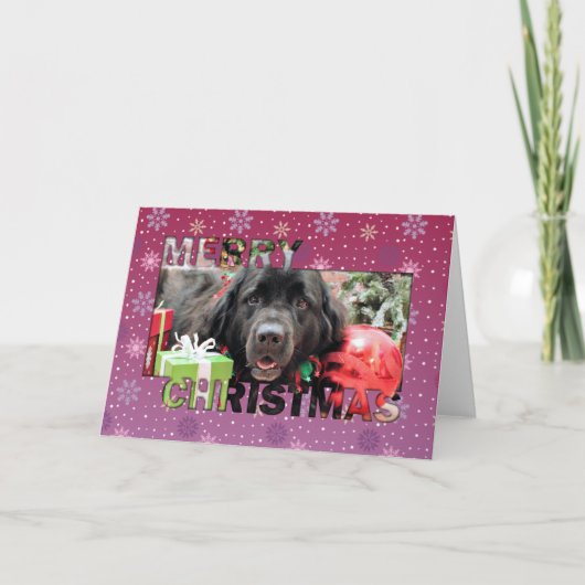 Kerstmis - Newfoundland - Izzie Feestdagen Kaart (Voorkant)