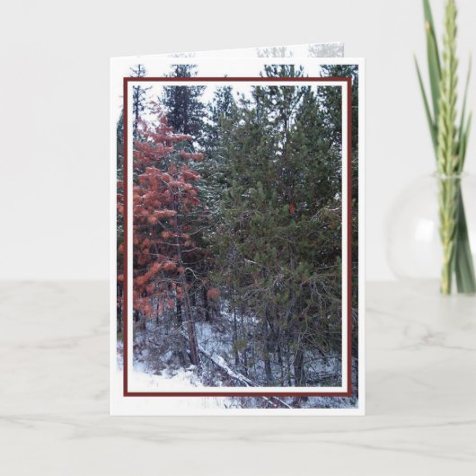 Kerstmis, Nieuwjaar, Vakantie - Blank Feestdagen Kaart (Voorkant)