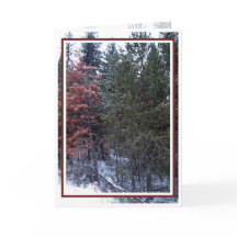 Kerstmis, Nieuwjaar, Vakantie - Blank