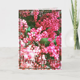 Kerstmis, Nieuwjaar, Vakantie - Holly Berries Feestdagen Kaart