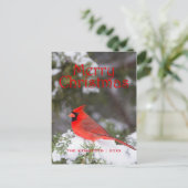 Kerstmis - Noordelijk Hoofdmannetje in de boom van Feestdagenkaart (Staand voorkant)